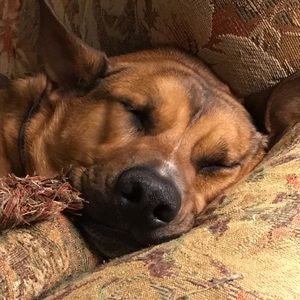 Meet your Posher, Robyn